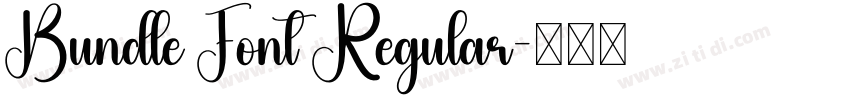Bundle Font Regular字体转换